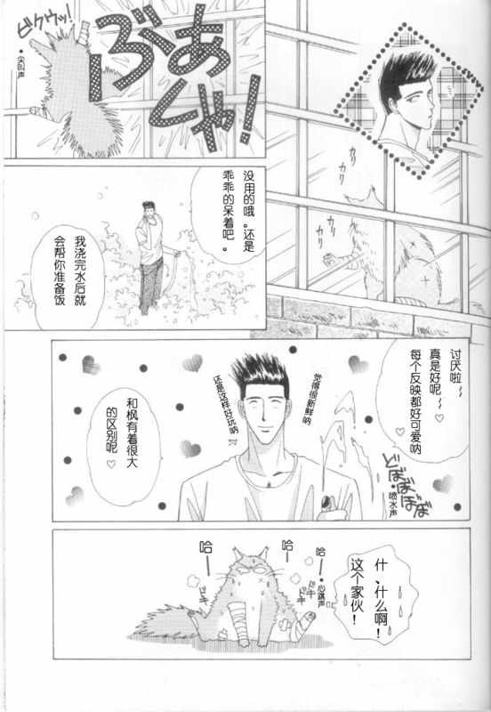 《cat fancy》漫画最新章节 第1卷 免费下拉式在线观看章节第【136】张图片