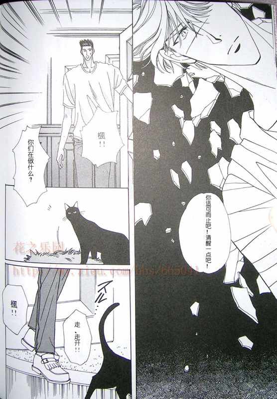 《cat fancy》漫画最新章节 第1卷 免费下拉式在线观看章节第【153】张图片