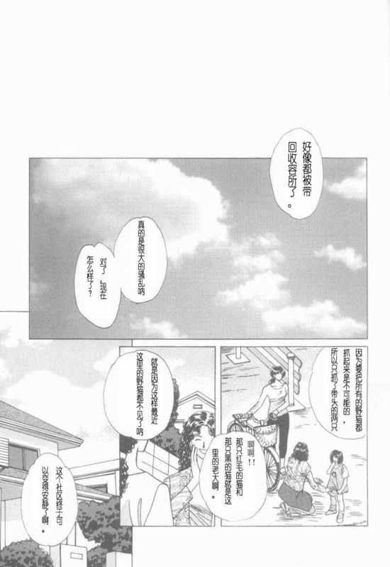 《cat fancy》漫画最新章节 第1卷 免费下拉式在线观看章节第【177】张图片