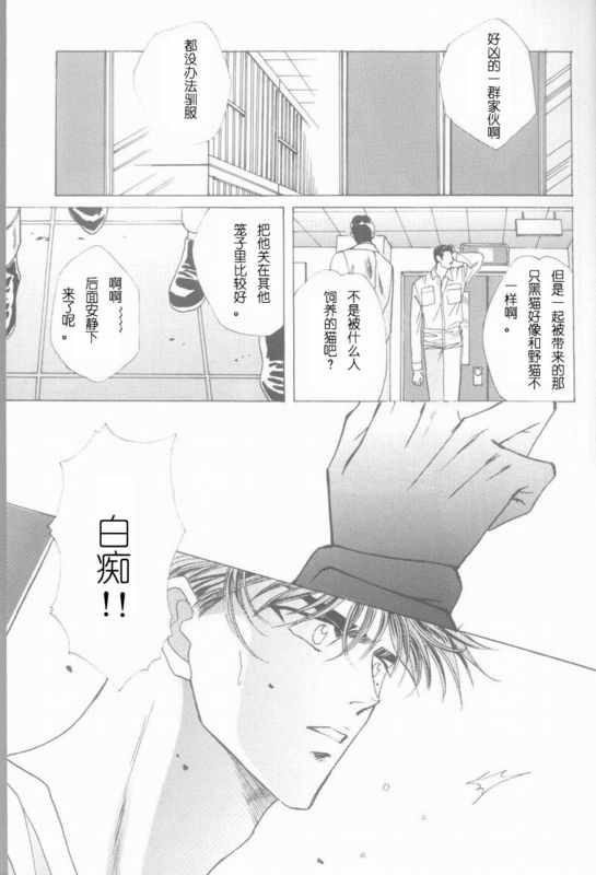 《cat fancy》漫画最新章节 第1卷 免费下拉式在线观看章节第【188】张图片