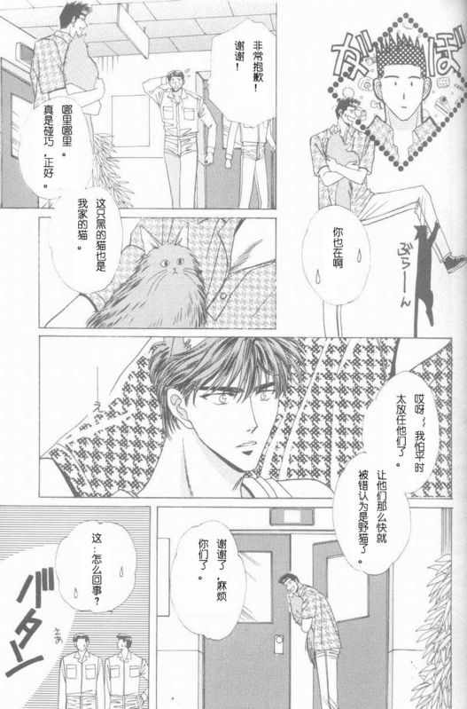 《cat fancy》漫画最新章节 第1卷 免费下拉式在线观看章节第【210】张图片