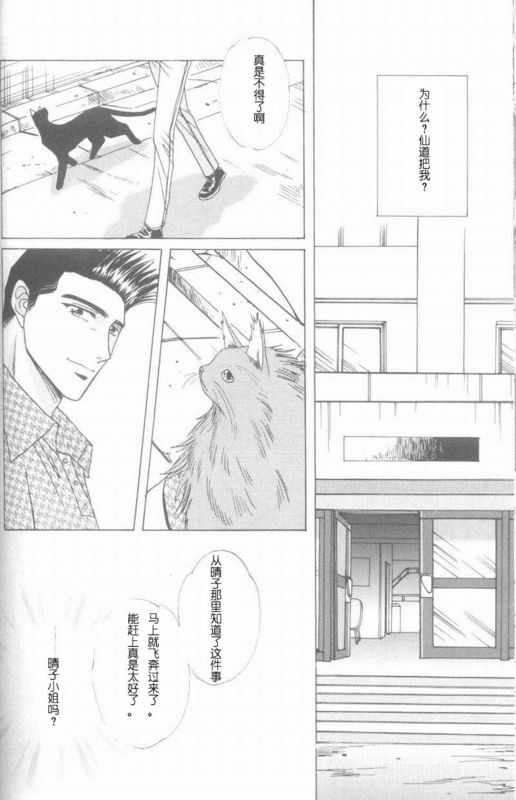 《cat fancy》漫画最新章节 第1卷 免费下拉式在线观看章节第【211】张图片