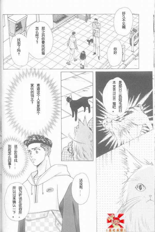 《cat fancy》漫画最新章节 第1卷 免费下拉式在线观看章节第【219】张图片