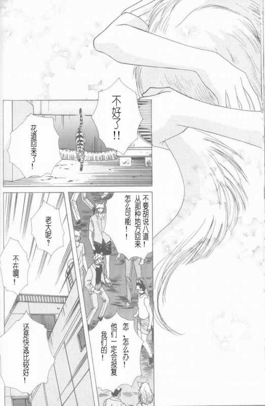 《cat fancy》漫画最新章节 第1卷 免费下拉式在线观看章节第【233】张图片