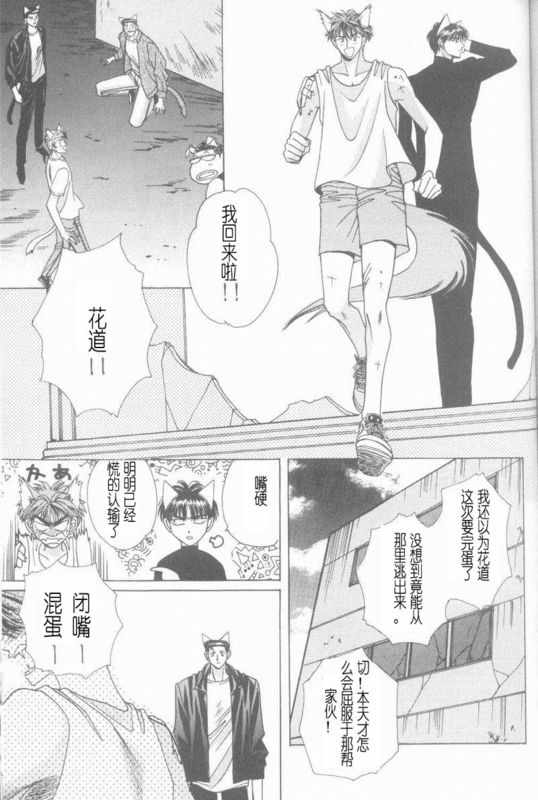 《cat fancy》漫画最新章节 第1卷 免费下拉式在线观看章节第【234】张图片