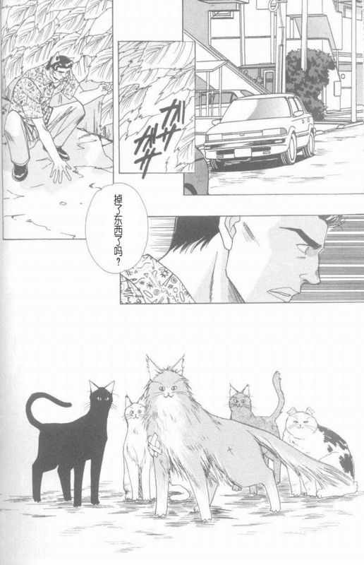 《cat fancy》漫画最新章节 第1卷 免费下拉式在线观看章节第【237】张图片