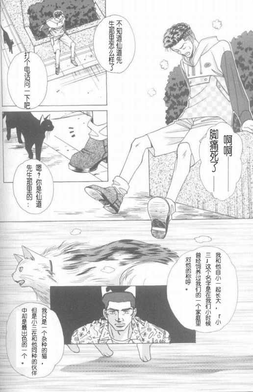 《cat fancy》漫画最新章节 第1卷 免费下拉式在线观看章节第【243】张图片