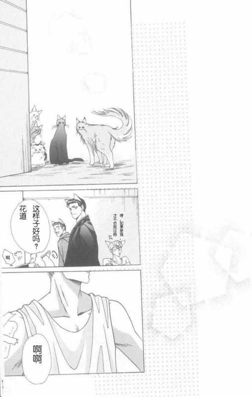 《cat fancy》漫画最新章节 第1卷 免费下拉式在线观看章节第【250】张图片