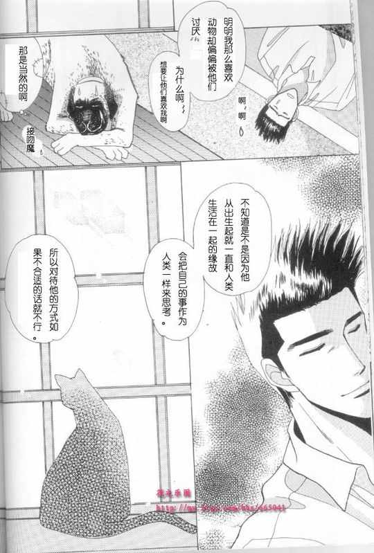 《cat fancy》漫画最新章节 第1卷 免费下拉式在线观看章节第【43】张图片