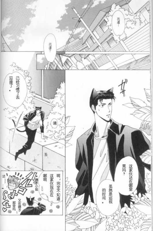 《cat fancy》漫画最新章节 第1卷 免费下拉式在线观看章节第【47】张图片