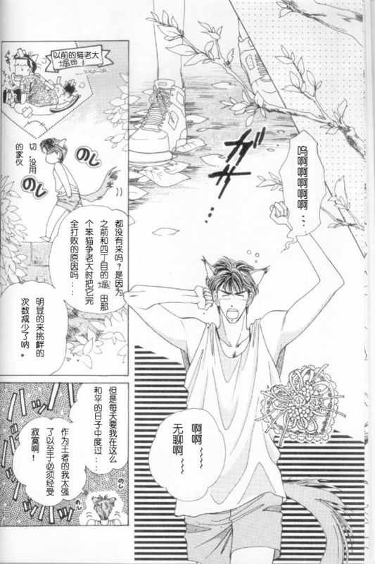 《cat fancy》漫画最新章节 第1卷 免费下拉式在线观看章节第【5】张图片