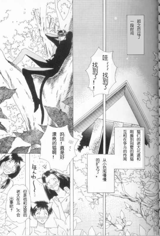 《cat fancy》漫画最新章节 第1卷 免费下拉式在线观看章节第【66】张图片