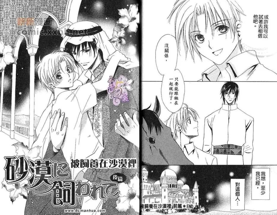 《沙漠的新娘》漫画最新章节 第1卷 免费下拉式在线观看章节第【17】张图片