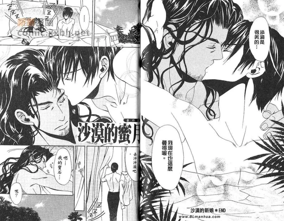 《沙漠的新娘》漫画最新章节 第1卷 免费下拉式在线观看章节第【81】张图片