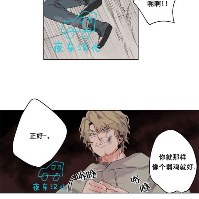 《死亡之鸟的凝视》漫画最新章节第6-8话免费下拉式在线观看章节第【6】张图片