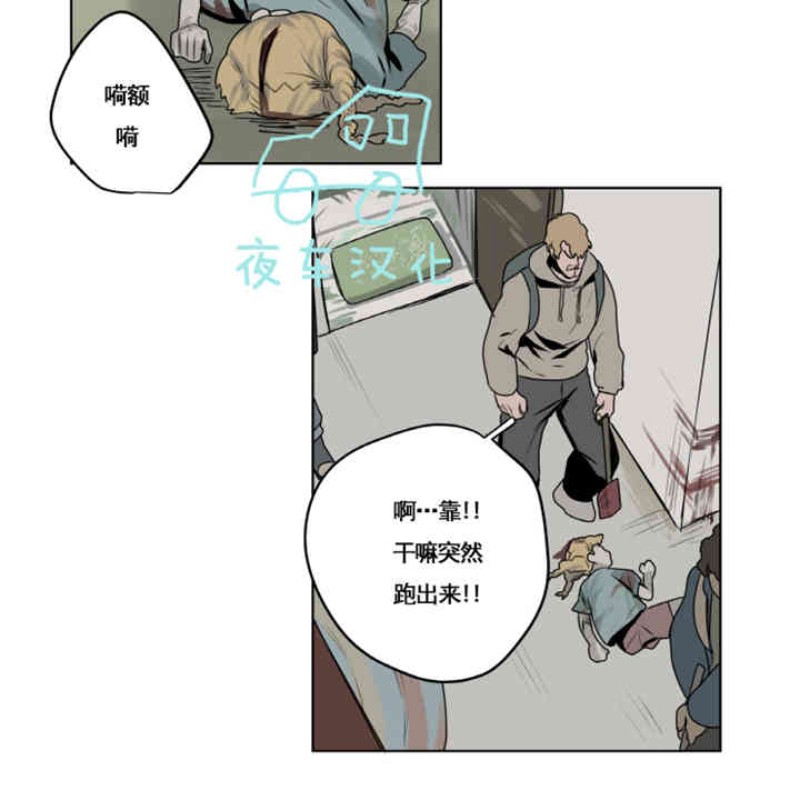 《死亡之鸟的凝视》漫画最新章节第1-4话免费下拉式在线观看章节第【60】张图片