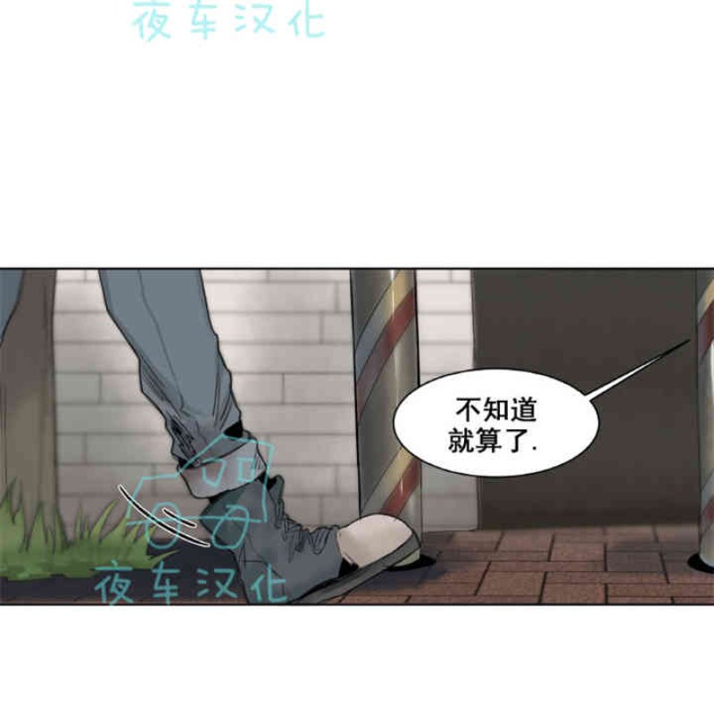 《死亡之鸟的凝视》漫画最新章节第11-13话免费下拉式在线观看章节第【20】张图片