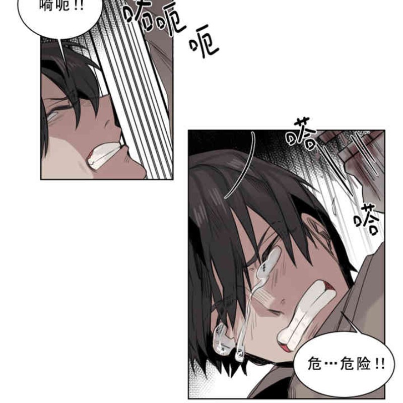 《死亡之鸟的凝视》漫画最新章节第11-13话免费下拉式在线观看章节第【27】张图片