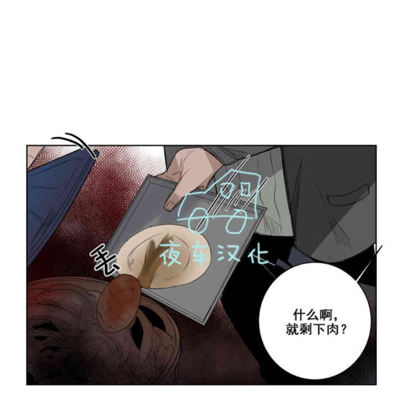 《死亡之鸟的凝视》漫画最新章节第19-22话 第一季完结免费下拉式在线观看章节第【8】张图片