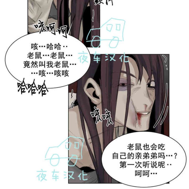 《死亡之鸟的凝视》漫画最新章节第19-22话 第一季完结免费下拉式在线观看章节第【29】张图片