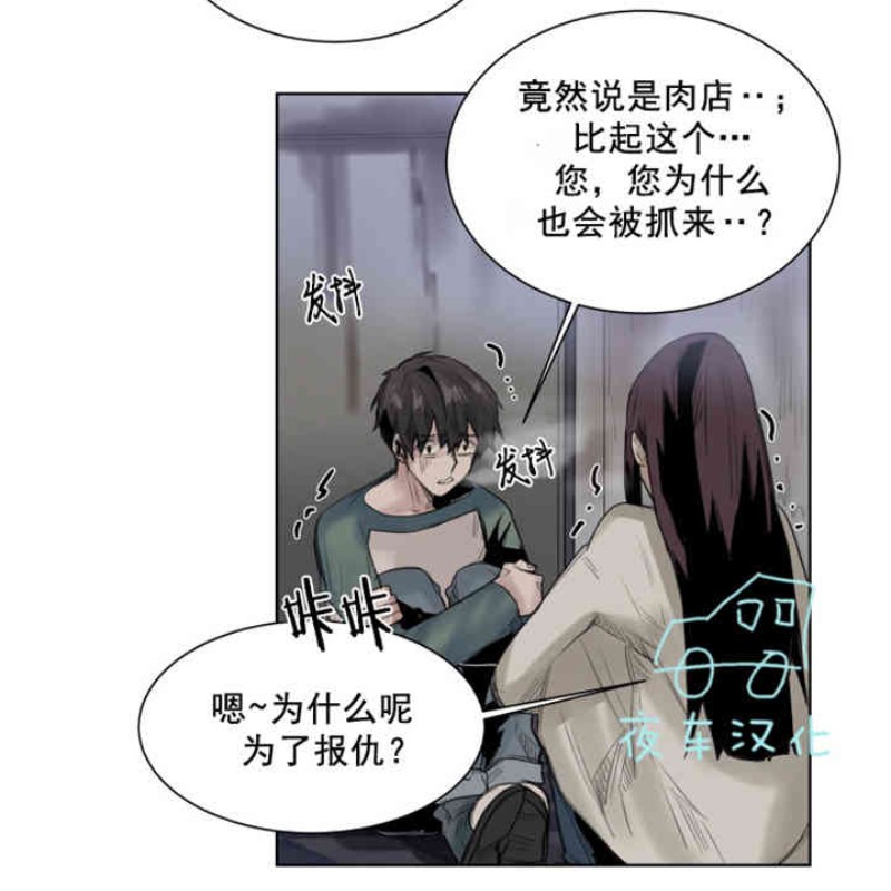 《死亡之鸟的凝视》漫画最新章节第19-22话 第一季完结免费下拉式在线观看章节第【33】张图片