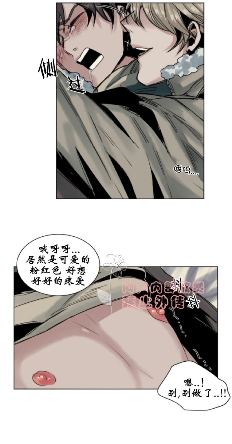 《死亡之鸟的凝视》漫画最新章节第27-29话免费下拉式在线观看章节第【16】张图片