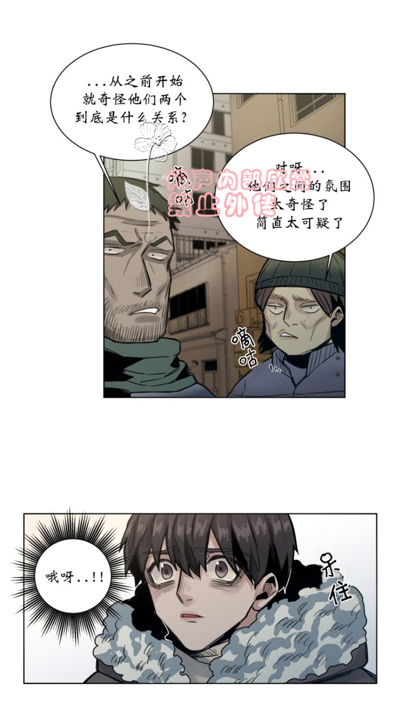 《死亡之鸟的凝视》漫画最新章节第27-29话免费下拉式在线观看章节第【36】张图片