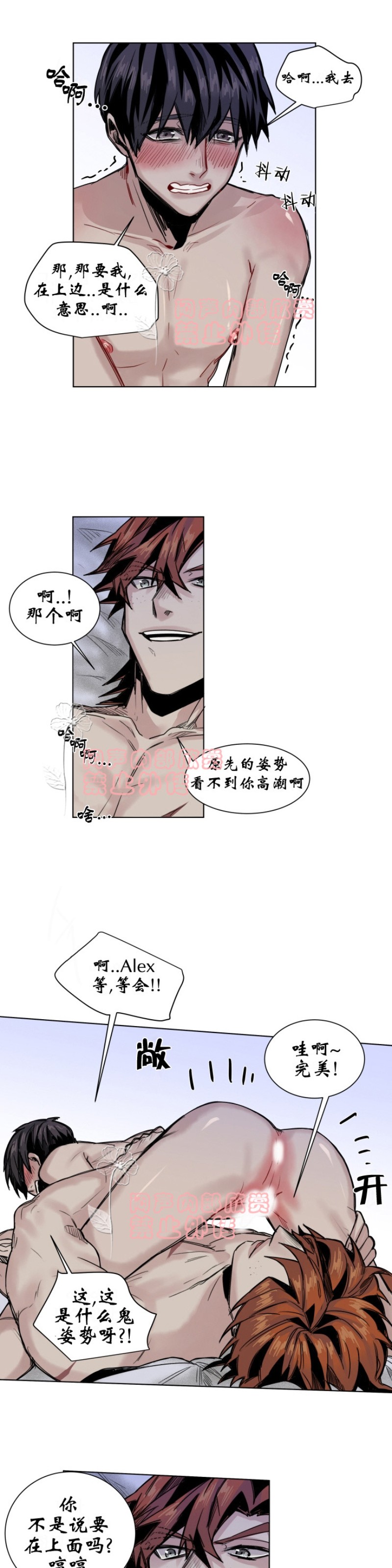 《死亡之鸟的凝视》漫画最新章节第27-29话免费下拉式在线观看章节第【47】张图片