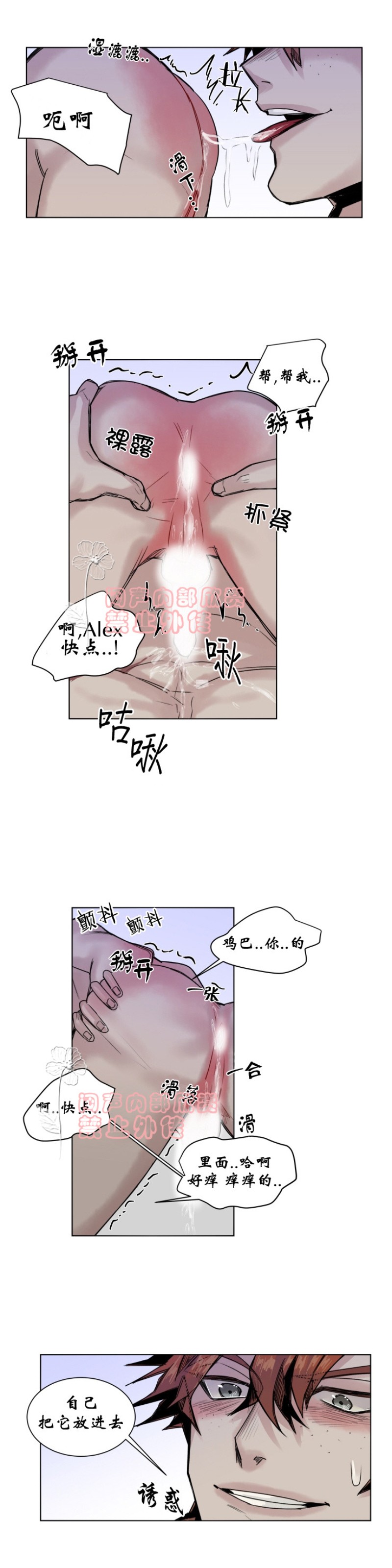 《死亡之鸟的凝视》漫画最新章节第27-29话免费下拉式在线观看章节第【50】张图片