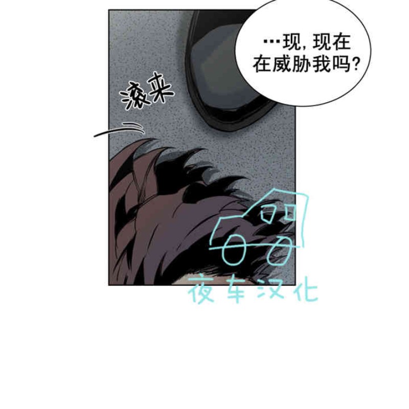 《死亡之鸟的凝视》漫画最新章节第30-33话免费下拉式在线观看章节第【53】张图片