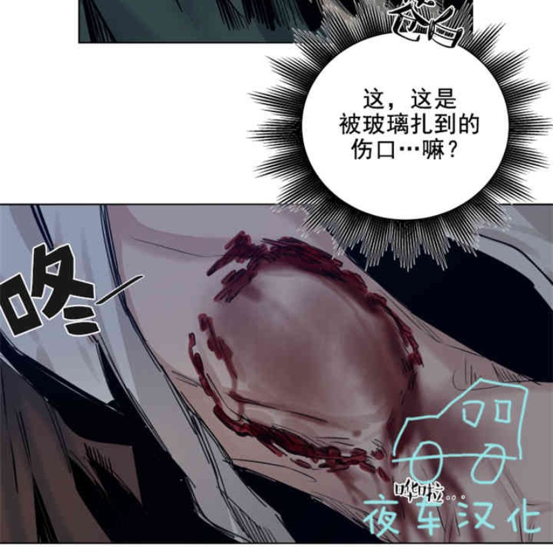 《死亡之鸟的凝视》漫画最新章节第30-33话免费下拉式在线观看章节第【65】张图片