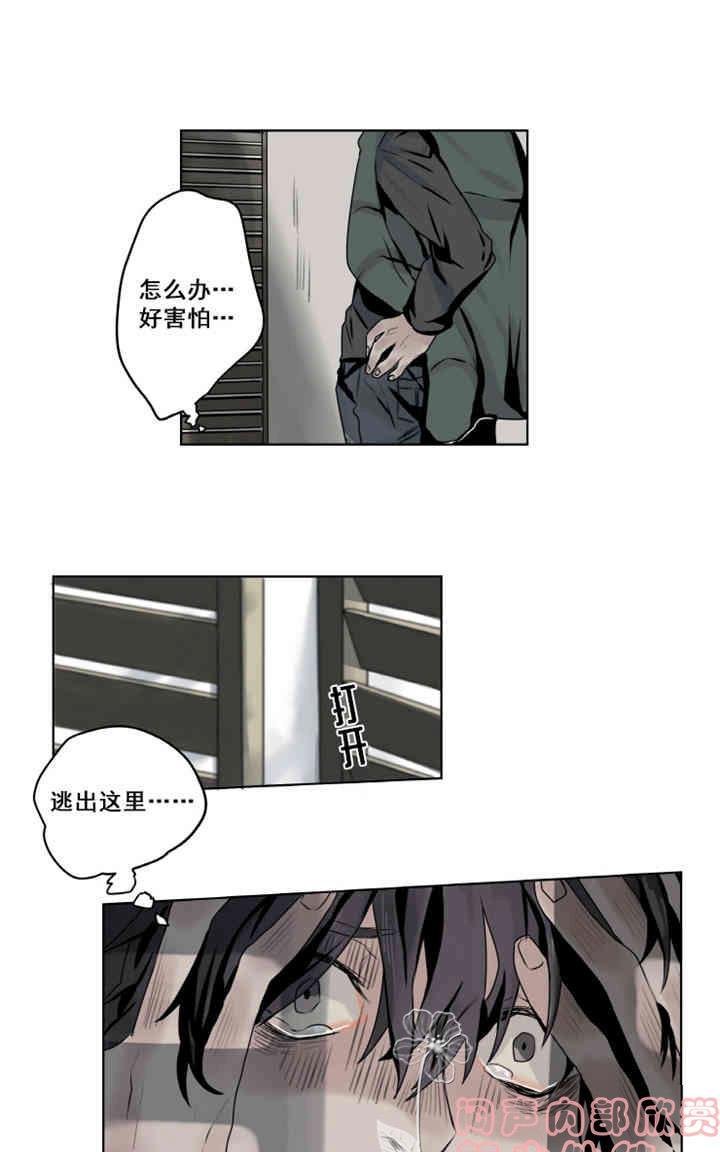 《死亡之鸟的凝视》漫画最新章节第1-5话免费下拉式在线观看章节第【180】张图片