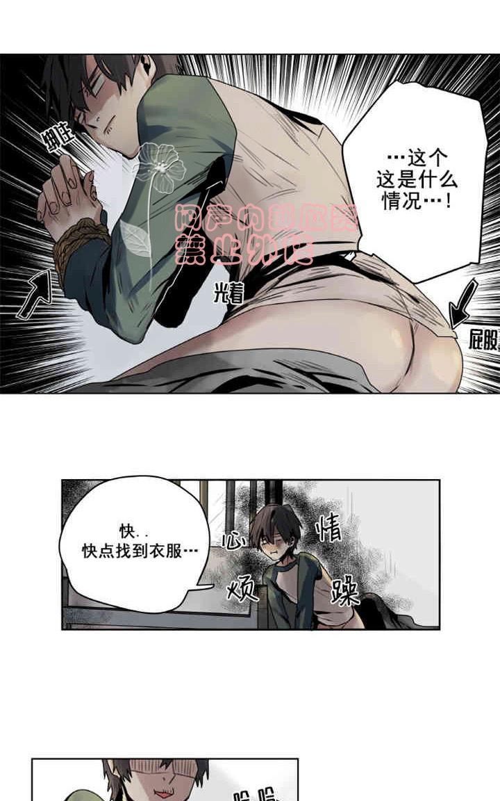 《死亡之鸟的凝视》漫画最新章节第1-5话免费下拉式在线观看章节第【185】张图片