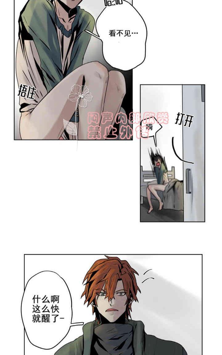 《死亡之鸟的凝视》漫画最新章节第1-5话免费下拉式在线观看章节第【186】张图片