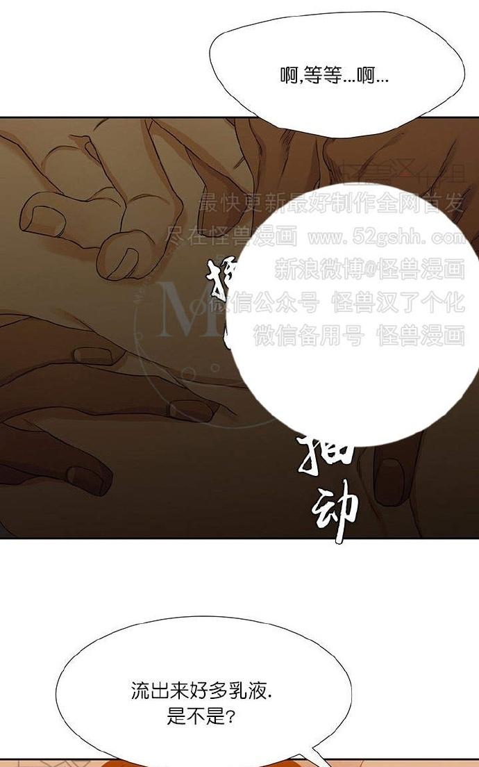 《寂静鸟》漫画最新章节 第60-65话 免费下拉式在线观看章节第【128】张图片