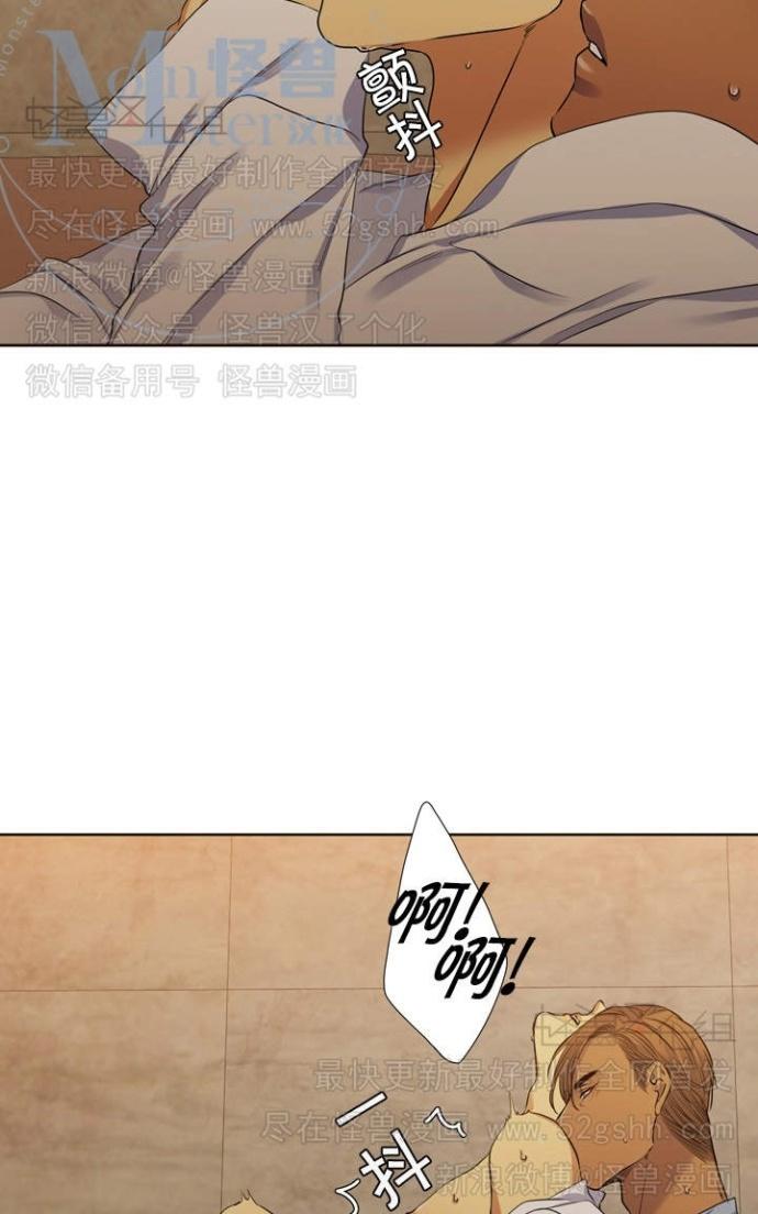 《寂静鸟》漫画最新章节 第60-65话 免费下拉式在线观看章节第【20】张图片