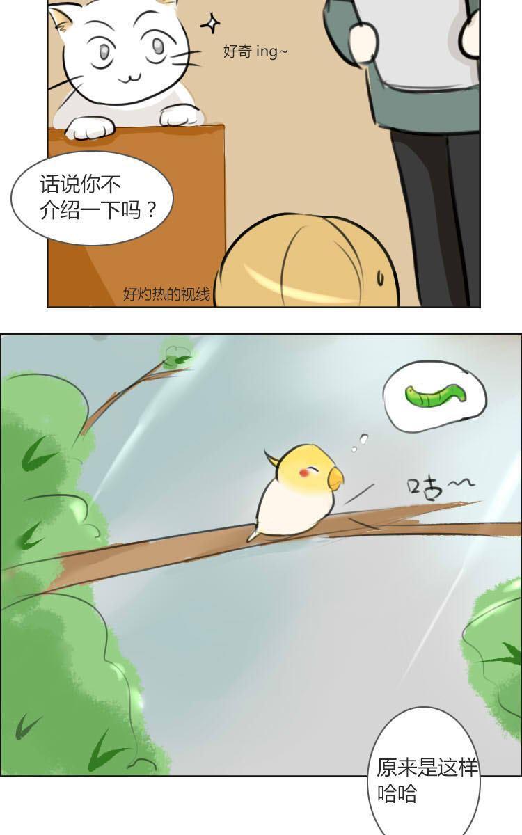 《Super Ability》漫画最新章节 第12回 免费下拉式在线观看章节第【5】张图片