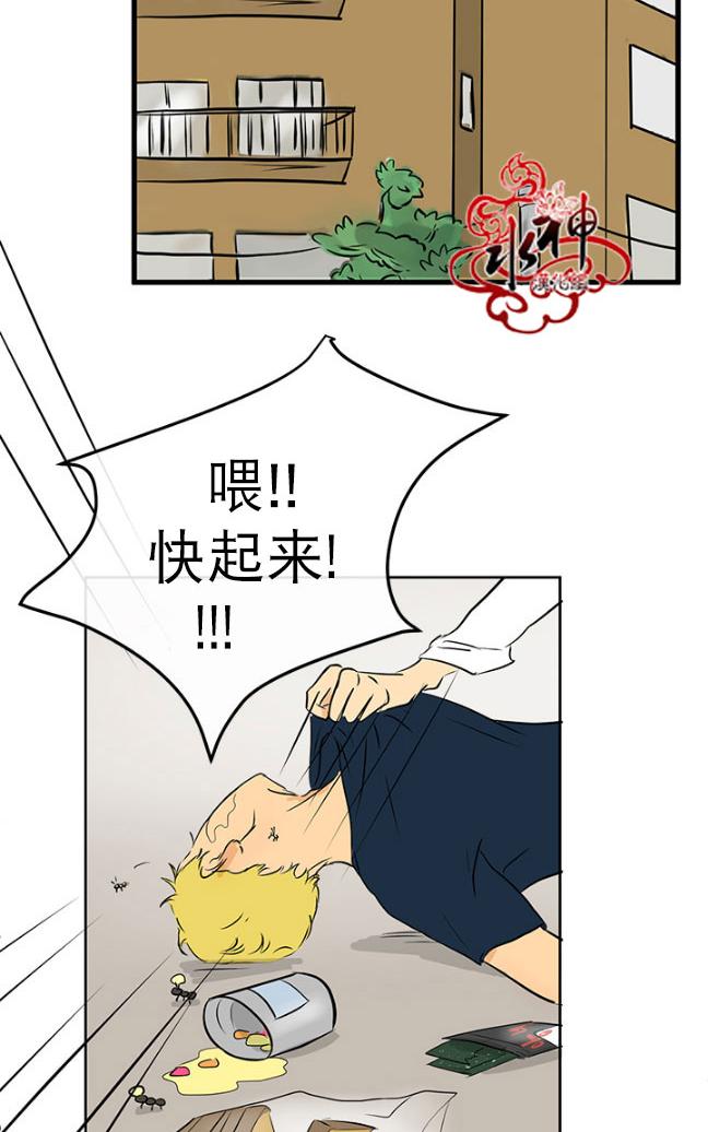 《完全蜂蜜味》漫画最新章节 第13话 免费下拉式在线观看章节第【20】张图片