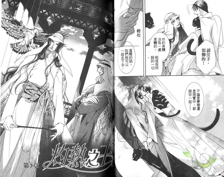 《灼热之王》漫画最新章节 第1卷 免费下拉式在线观看章节第【34】张图片