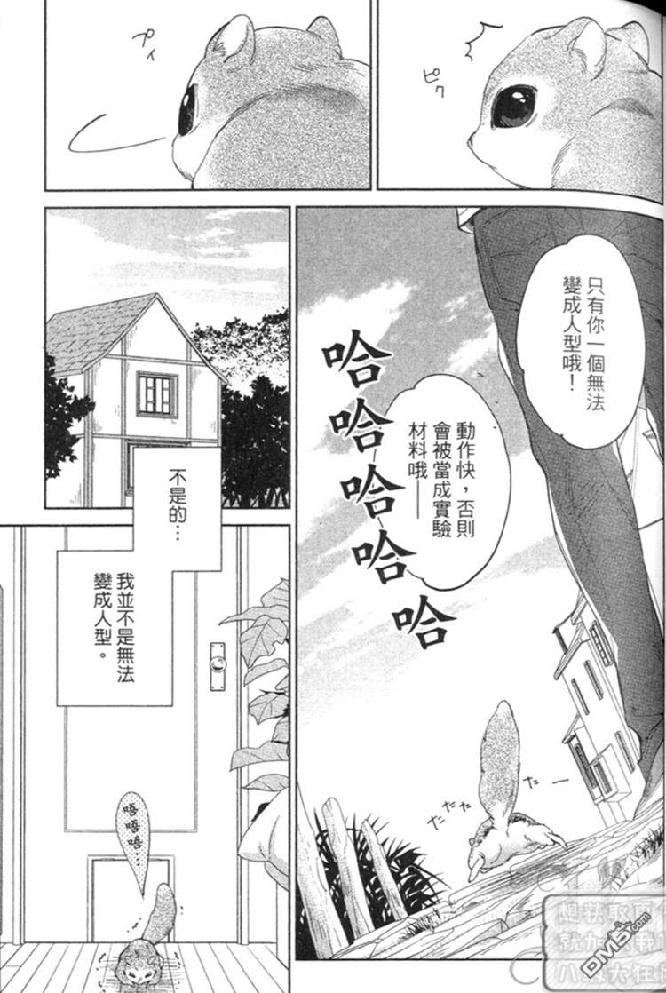 《森林系男孩》漫画最新章节 第1卷 免费下拉式在线观看章节第【55】张图片