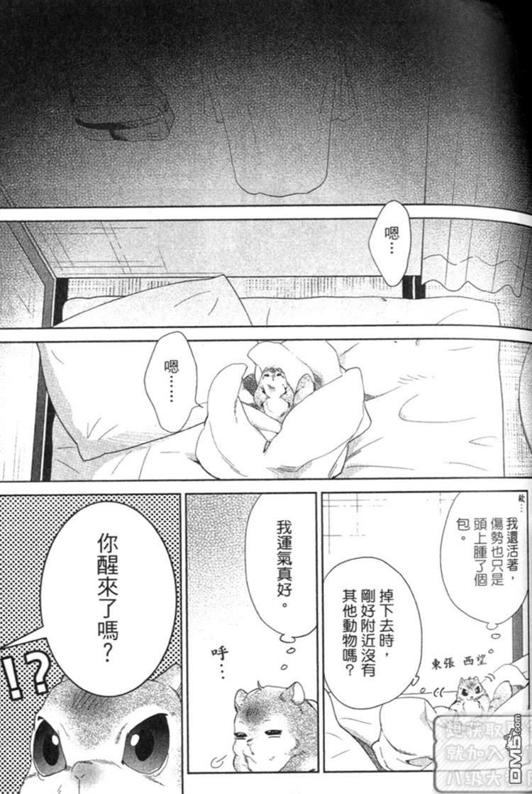 《森林系男孩》漫画最新章节 第1卷 免费下拉式在线观看章节第【61】张图片