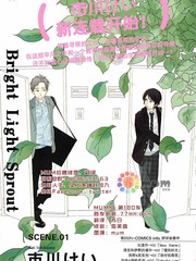 bright light sprout,bright light sprout漫画