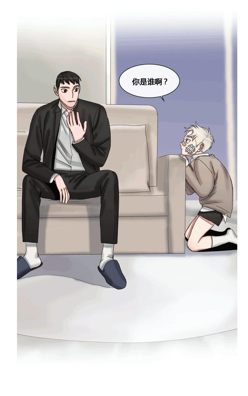 《他的取向》漫画最新章节 第33-39话 免费下拉式在线观看章节第【242】张图片