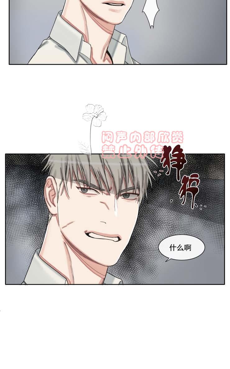 《他的取向》漫画最新章节 第33-39话 免费下拉式在线观看章节第【299】张图片