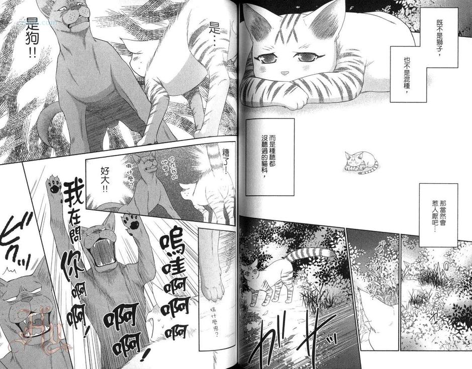 《猫科男子的调教方法》漫画最新章节 第5卷 免费下拉式在线观看章节第【50】张图片