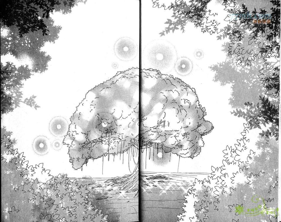 《梦幻的翅膀》漫画最新章节 第8卷 免费下拉式在线观看章节第【5】张图片