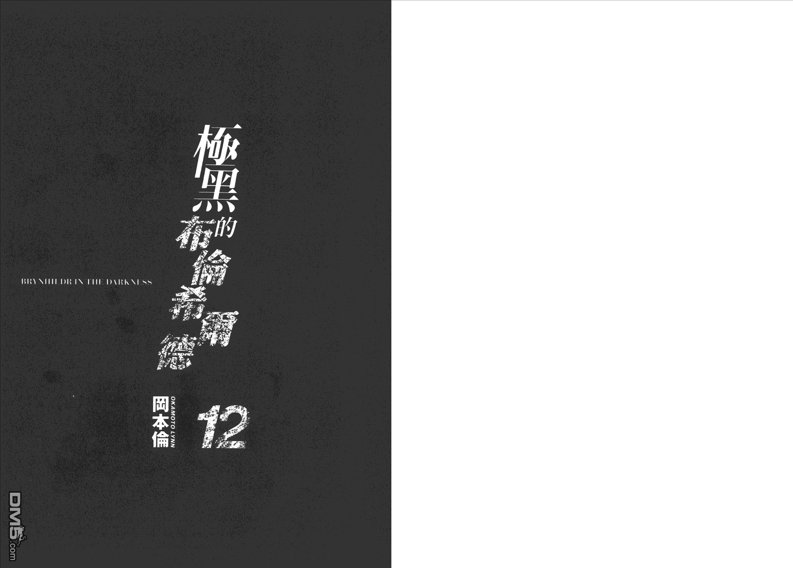 极黑的布伦希尔特-第12卷全彩韩漫标签