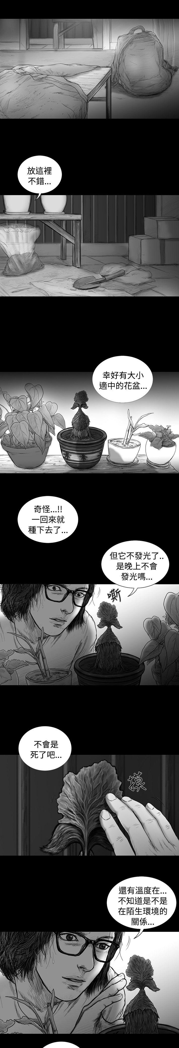 《SEED The Beginning》漫画最新章节SEED The Beginning-第10话免费下拉式在线观看章节第【12】张图片