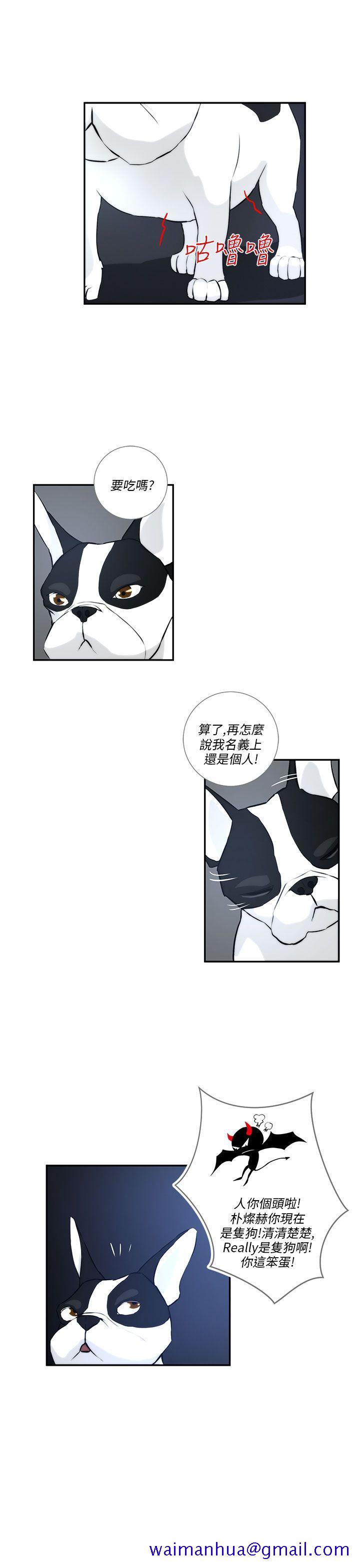 《变成狗的男人》漫画最新章节变成狗的男人-第3话免费下拉式在线观看章节第【11】张图片