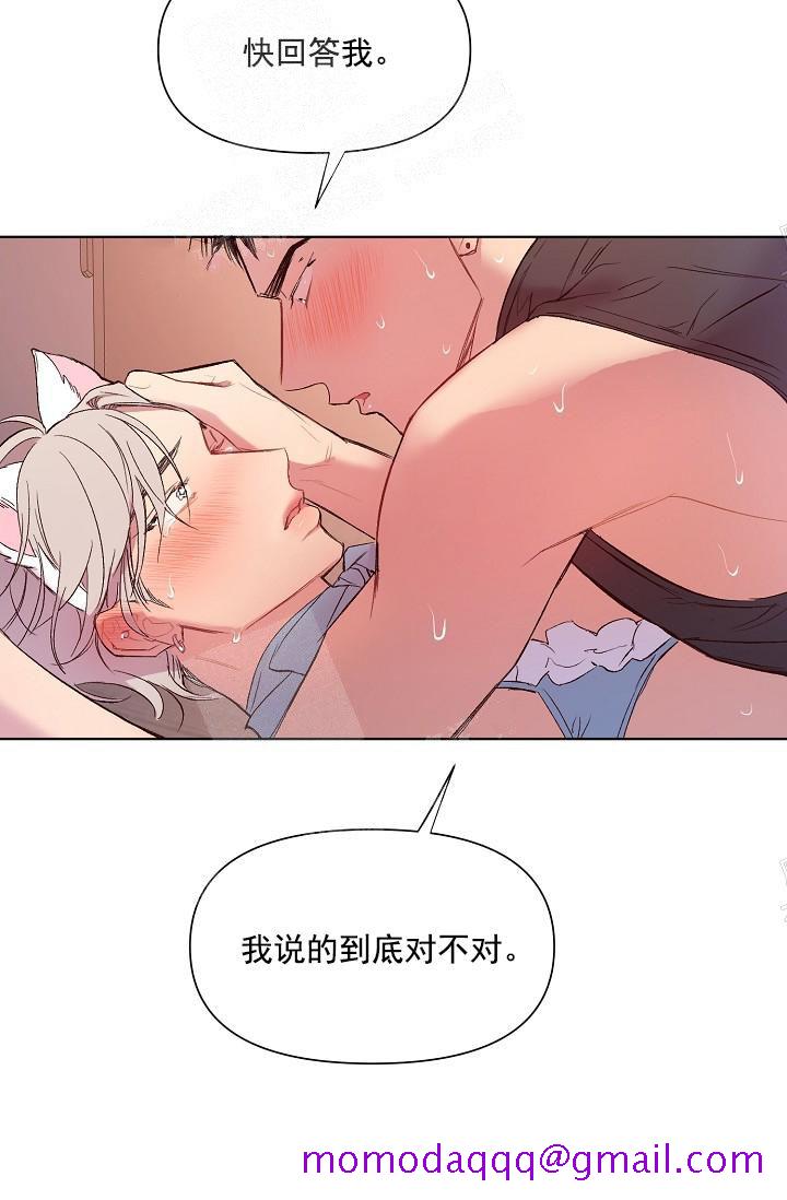 《奇妙玩具来袭（完结）》漫画最新章节奇妙玩具来袭（完结）-18话免费下拉式在线观看章节第【23】张图片